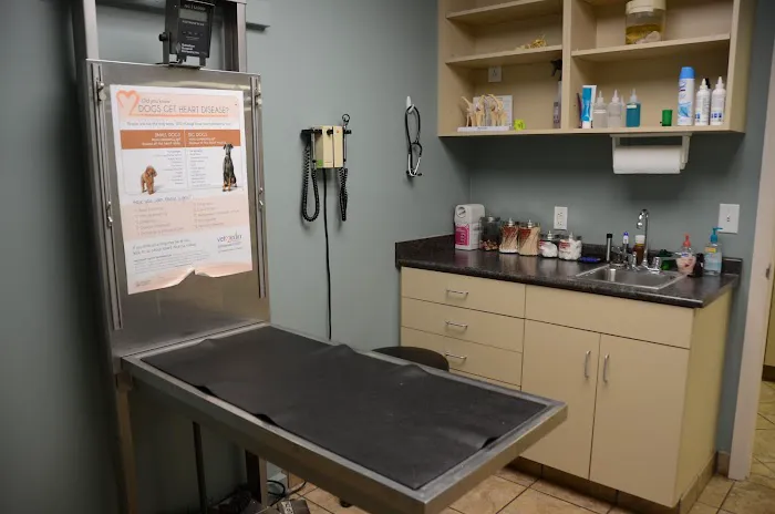 Skyline Animal Clinic Picture 7