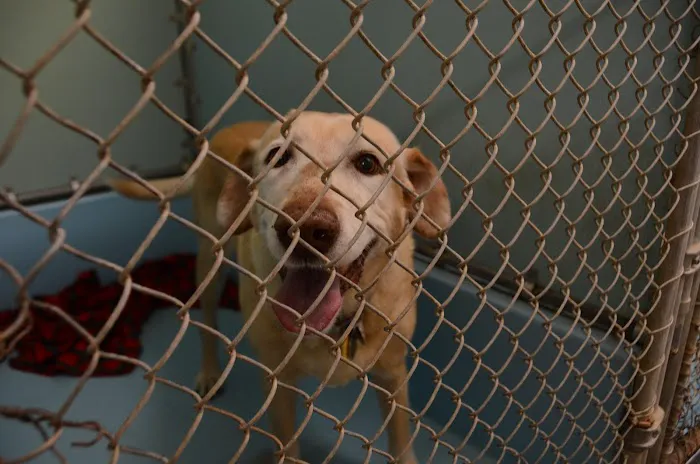 Skyline Animal Clinic Picture 6