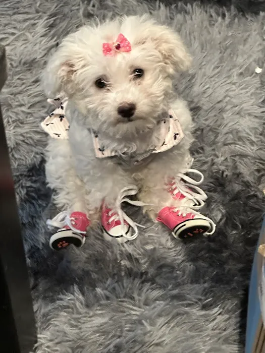 Skyline Animal Clinic Picture 9