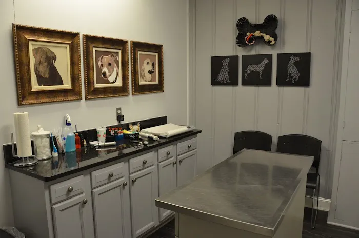 Mansfield Animal Hospital Picture 3