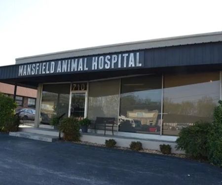 Mansfield Animal Hospital