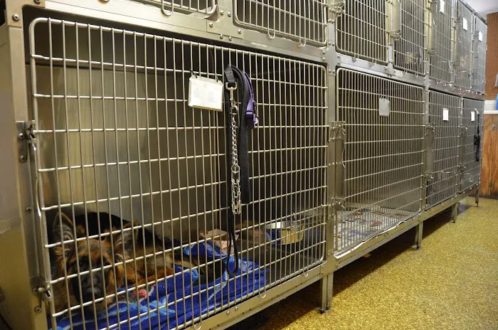 Mansfield Animal Hospital Picture 2