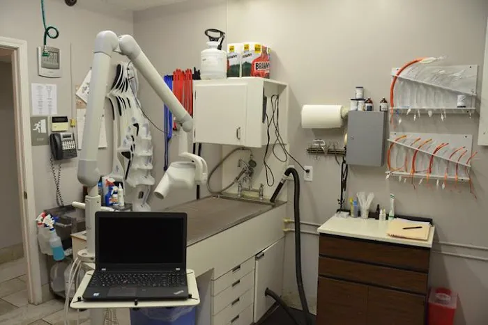 Mansfield Animal Hospital Picture 8