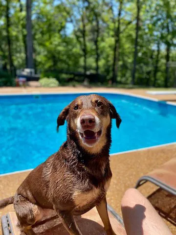 Mansfield Animal Hospital Picture 5