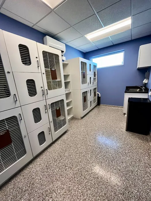 Clarksville Animal Clinic Picture 1