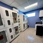 Clarksville Animal Clinic