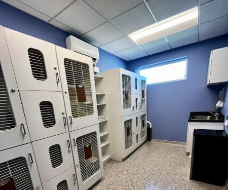 Clarksville Animal Clinic