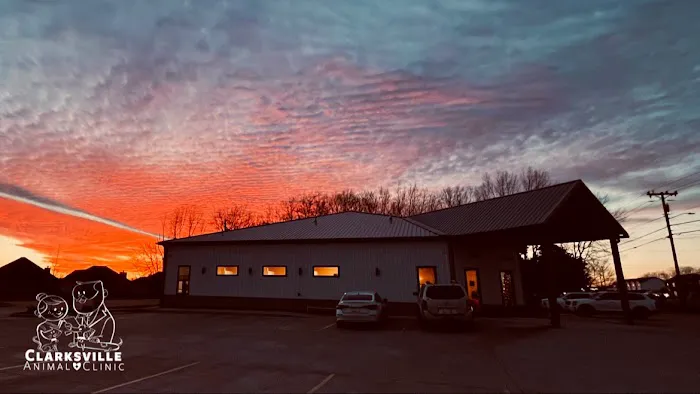 Clarksville Animal Clinic Picture 7