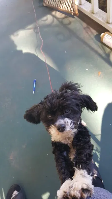 Four Paws Animal Hospital Picture 7