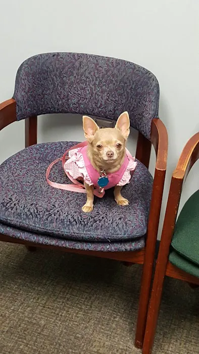 Four Paws Animal Hospital Picture 5