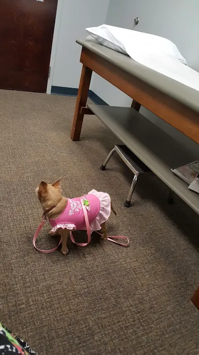 Four Paws Animal Hospital Picture 8