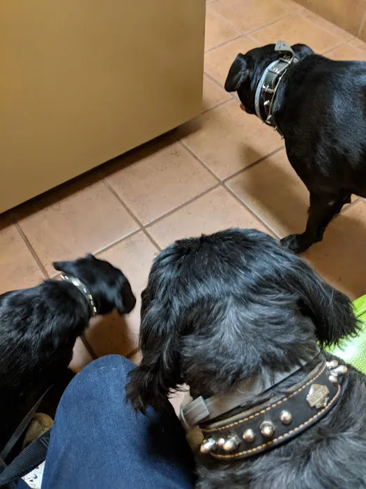 Four Paws Animal Hospital Picture 9