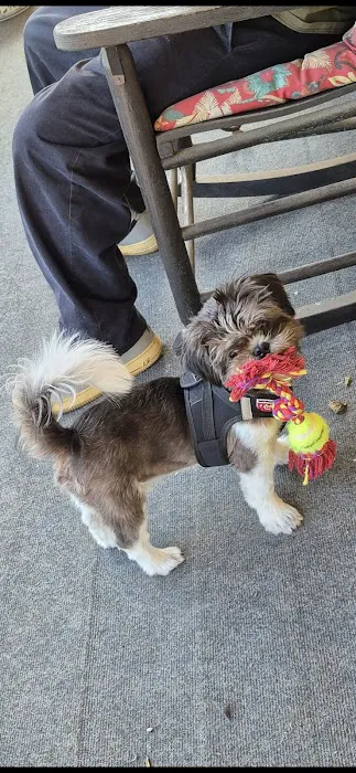 Animal Health Clinic Picture 5