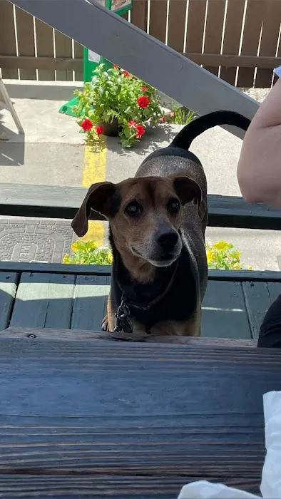 Animal Health Clinic Picture 2