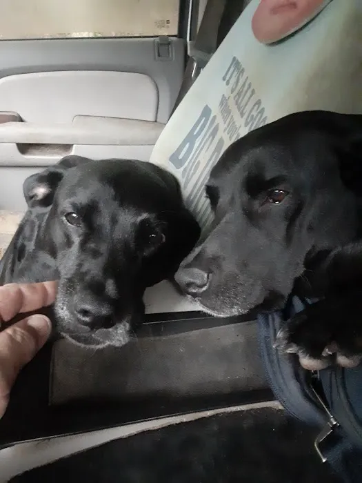 Animal Health Clinic Picture 3