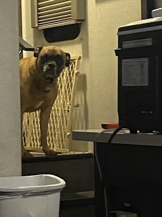 Animal Health Clinic Picture 1