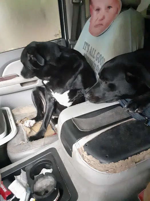 Animal Health Clinic Picture 4