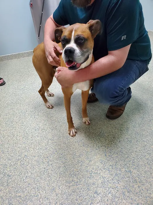 La Grange Veterinary Hospital Picture 1