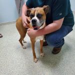 La Grange Veterinary Hospital