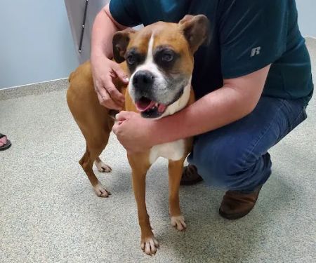 La Grange Veterinary Hospital