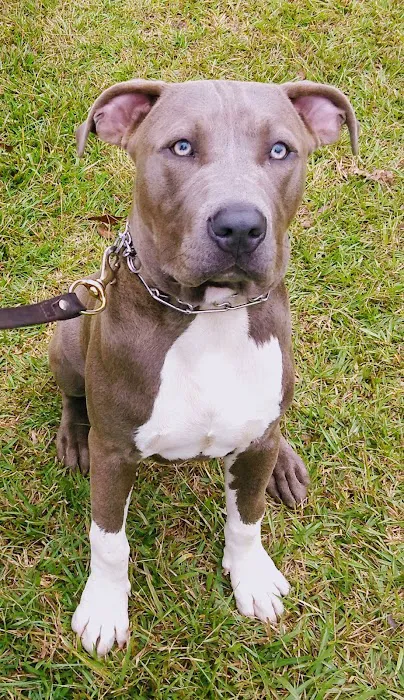 La Grange Veterinary Hospital Picture 3