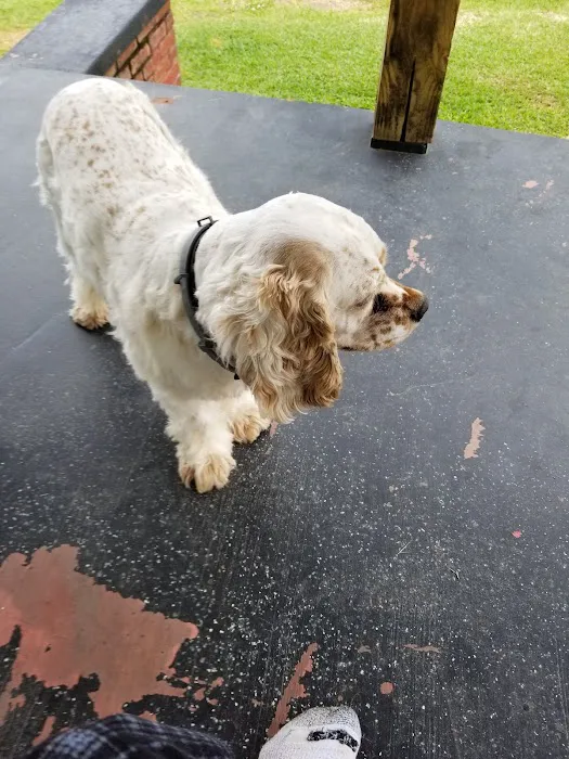 La Grange Veterinary Hospital Picture 4