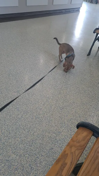 La Grange Veterinary Hospital Picture 6