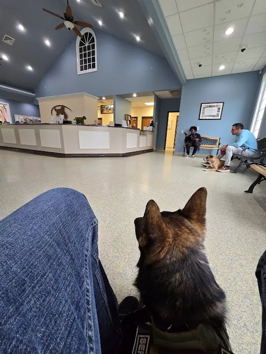 La Grange Veterinary Hospital Picture 8