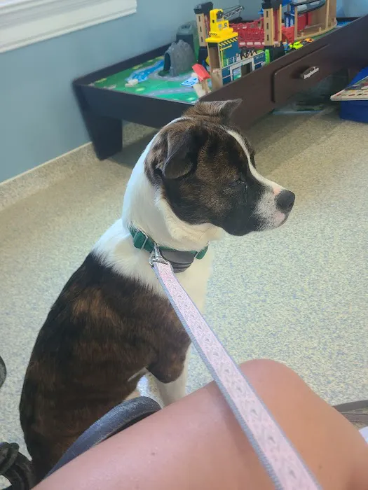 La Grange Veterinary Hospital Picture 7