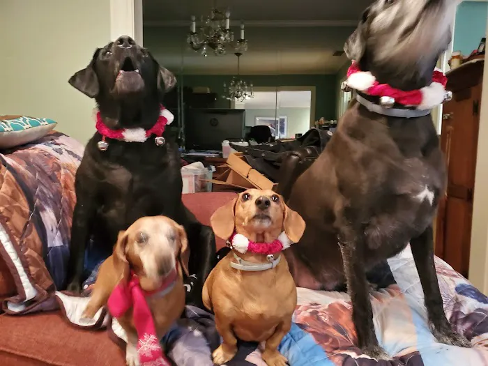 La Grange Veterinary Hospital Picture 10