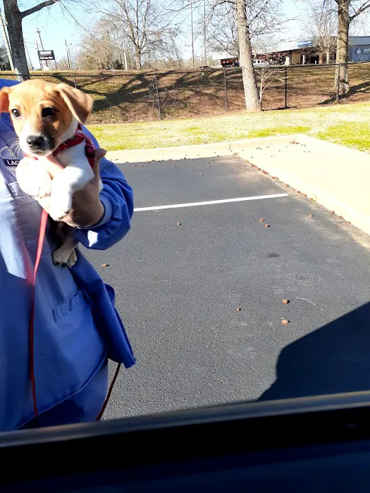 Dr. Brian Kirby Picture 2