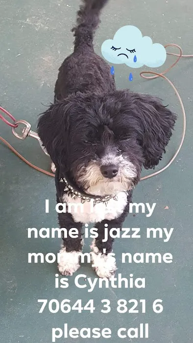 Dr. Brian Kirby Picture 3