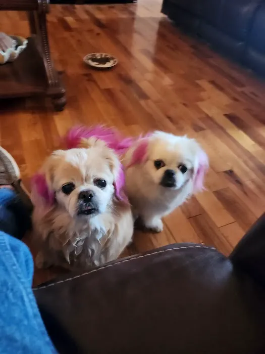 Family Pet Care Picture 7