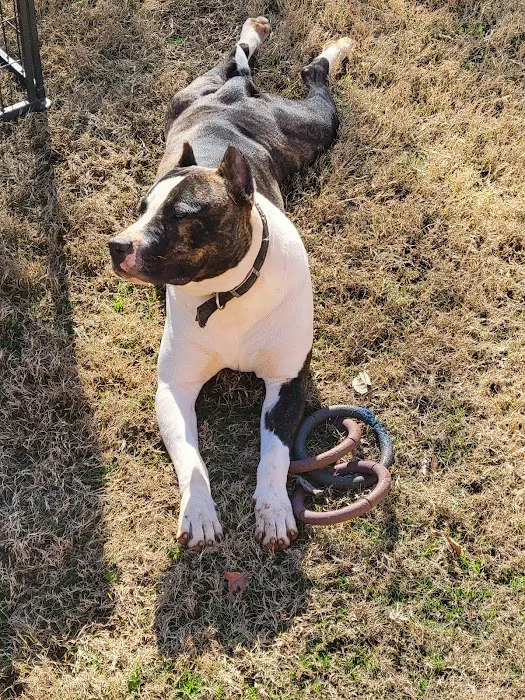 Riverside Veterinary Hospital Inc Picture 1