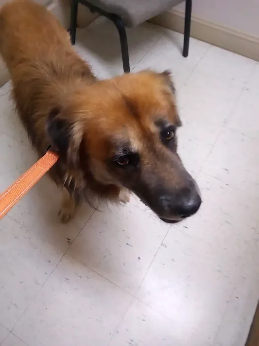 Riverside Veterinary Hospital Inc Picture 7