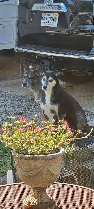 Riverside Veterinary Hospital Inc Picture 5