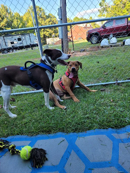 Riverside Veterinary Hospital Inc Picture 6