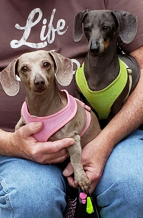 Riverside Veterinary Hospital Inc Picture 8