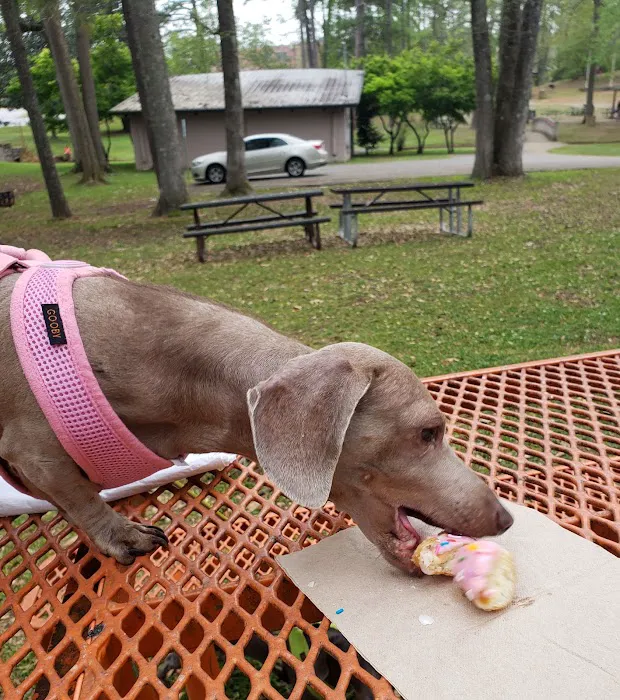 Riverside Veterinary Hospital Inc Picture 9