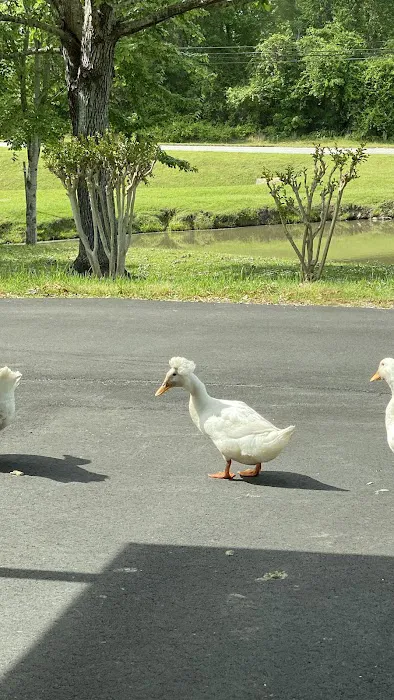 Lanett Animal Clinic Picture 1