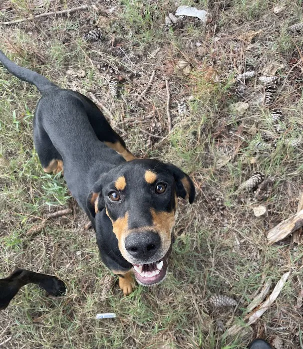 Lanett Animal Clinic Picture 2