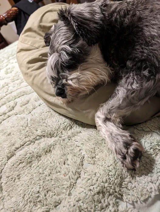 Lanett Animal Clinic Picture 5