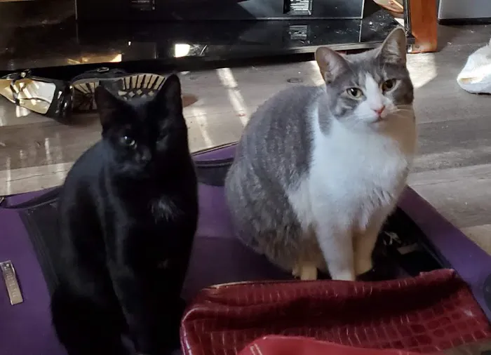 Lanett Animal Clinic Picture 4