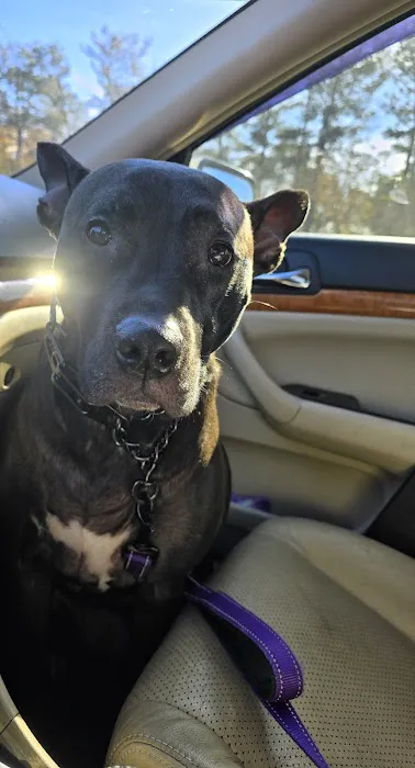 Lanett Animal Clinic Picture 6