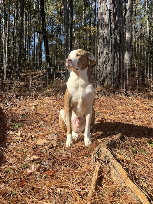 Lanett Animal Clinic Picture 9