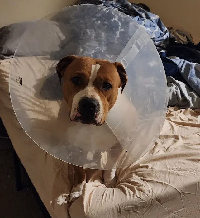 Lanett Animal Clinic Picture 7