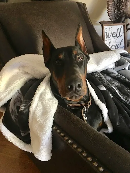 Lanett Animal Clinic Picture 10