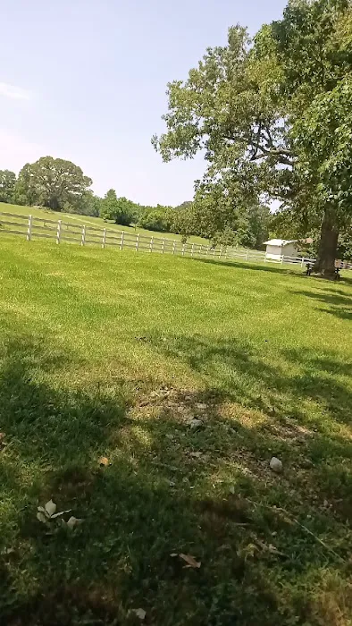 Valley Veterinary Associates Picture 2