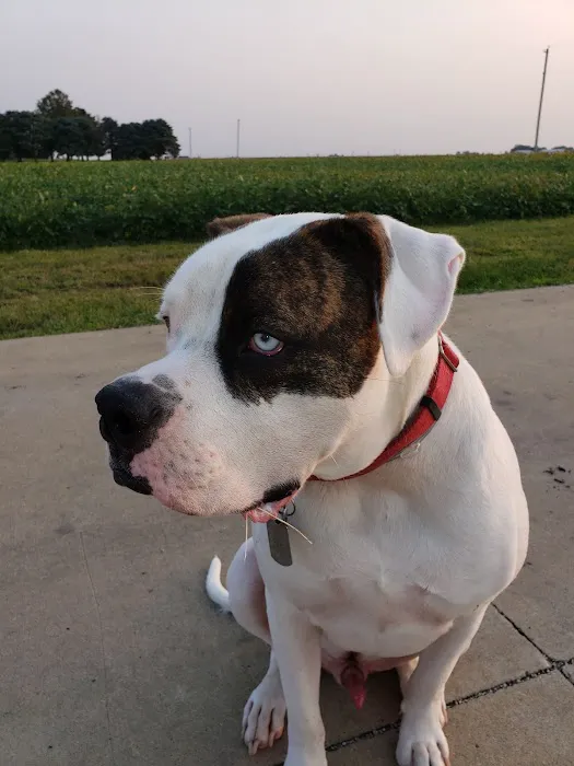 Valley Veterinary Associates Picture 9