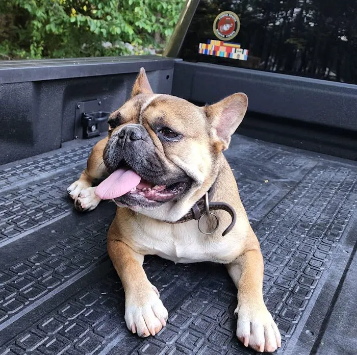 Valley Veterinary Associates Picture 7